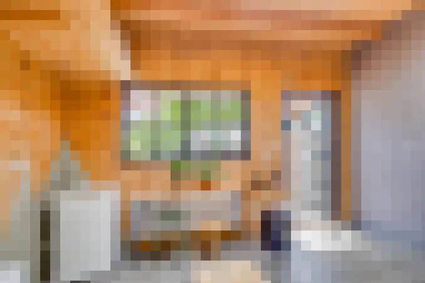 Alblasstraat 27 Utrecht thumbnail 16