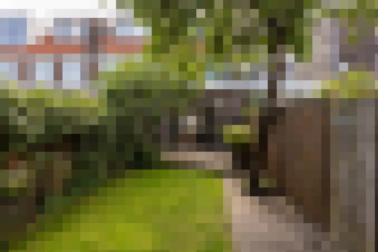 Alblasstraat 27 Utrecht thumbnail 17
