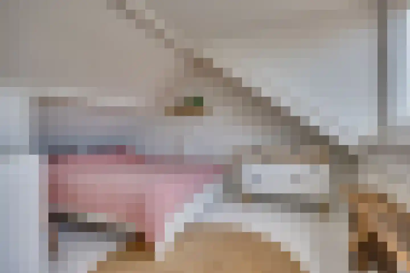 Alblasstraat 27 Utrecht thumbnail 30