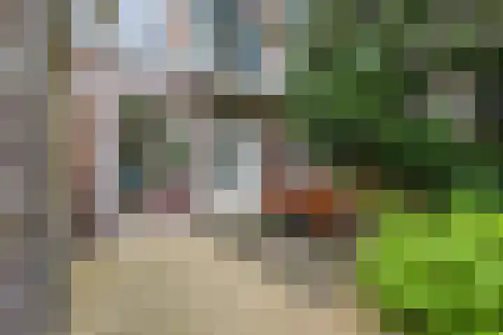 Alblasstraat 4 Utrecht thumbnail 17