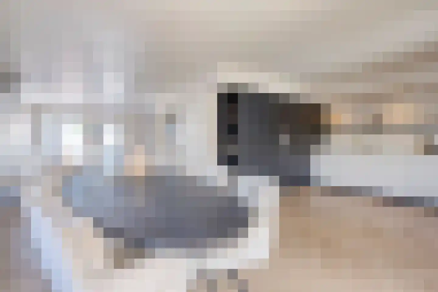 Alblasstraat 41 Eindhoven thumbnail 22