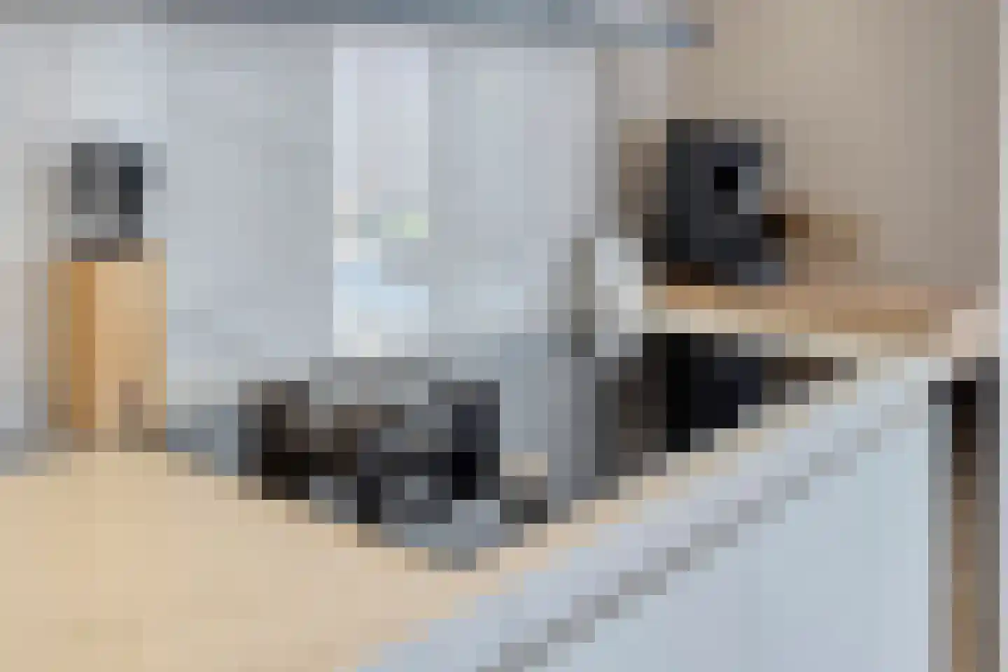Alblasstraat 41 Eindhoven thumbnail 27