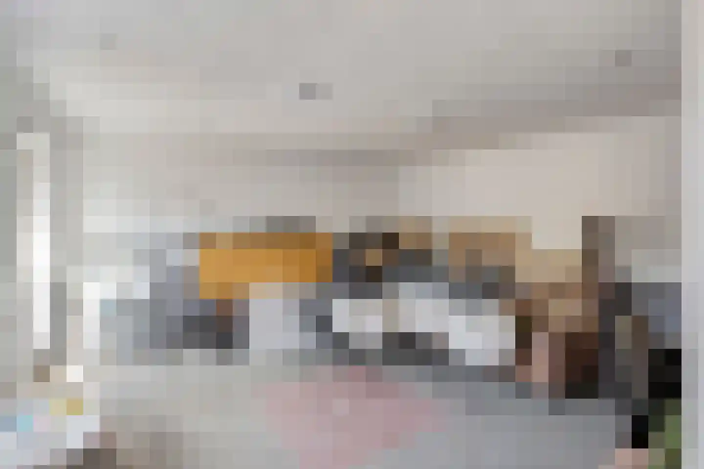Alblasstraat 41 Eindhoven thumbnail 68