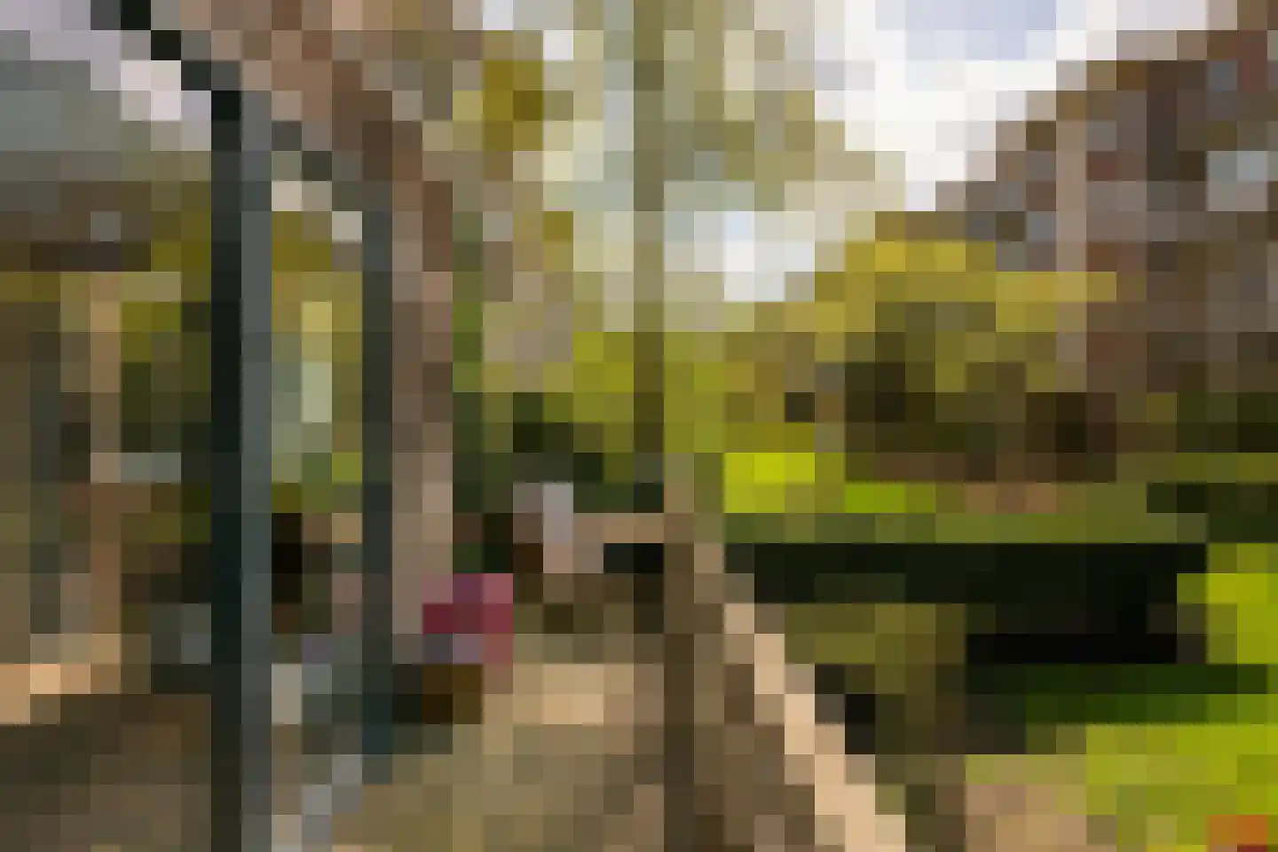 Alblasstraat 44 2 Amsterdam thumbnail 15