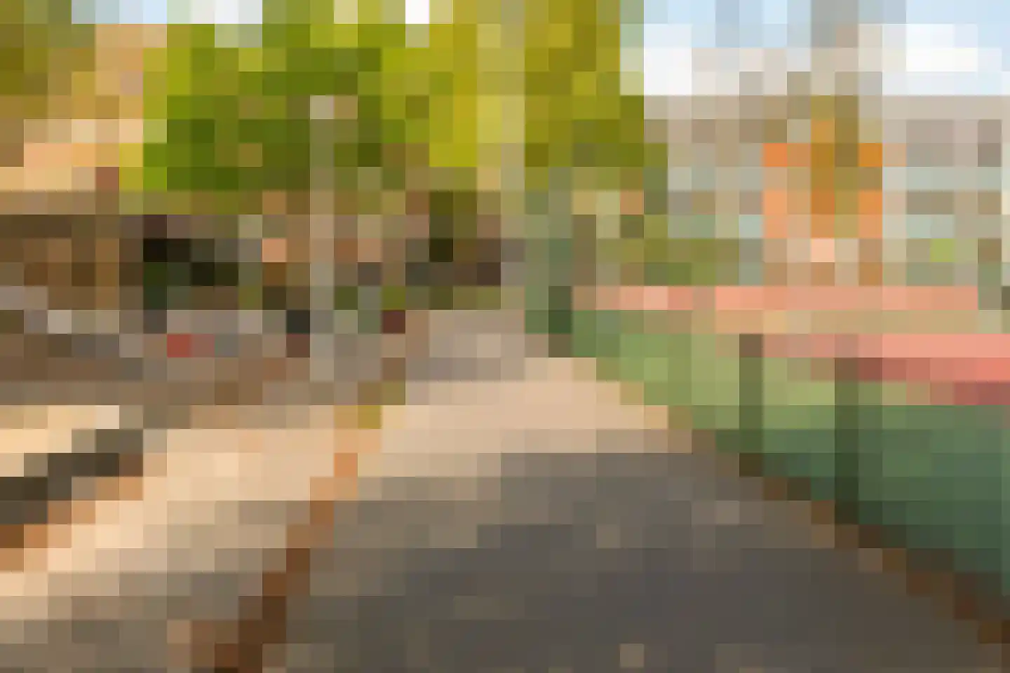 Alblasstraat 44 H Amsterdam thumbnail 31