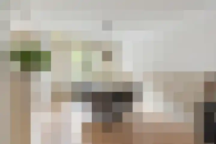 Alblasstraat 6 Utrecht thumbnail 10