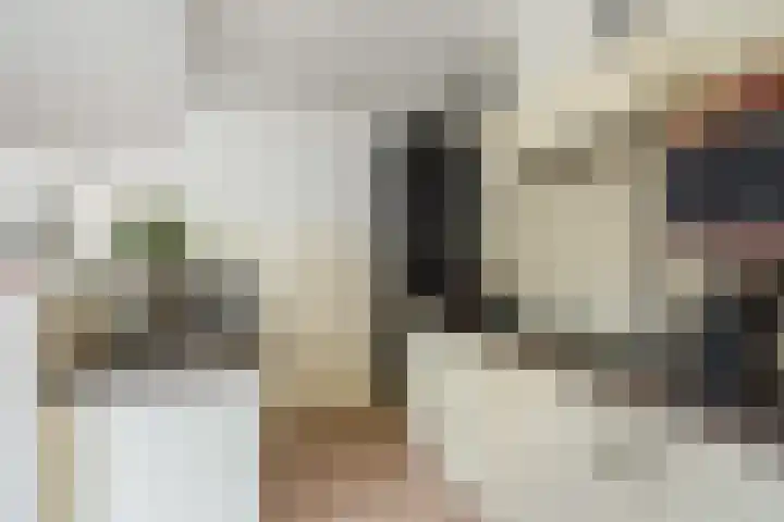 Alblasstraat 6 Utrecht thumbnail 13