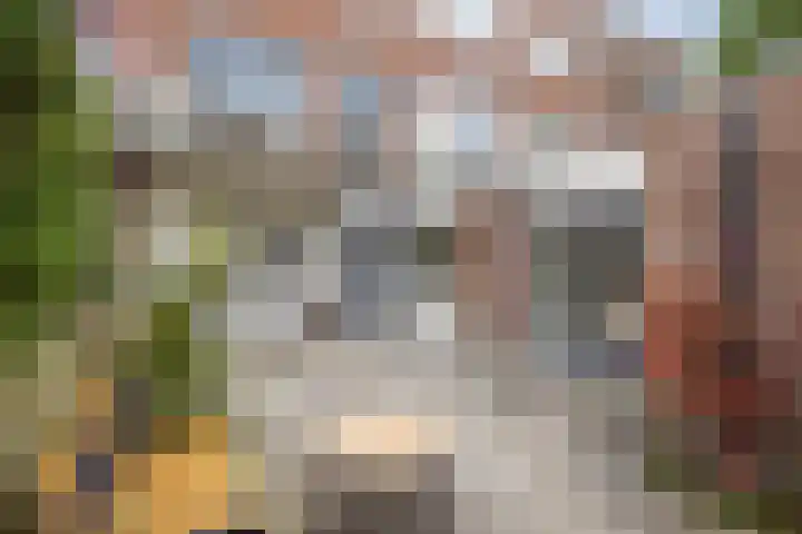 Alblasstraat 6 Utrecht thumbnail 19