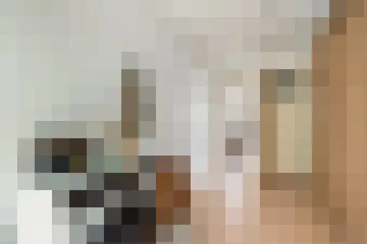 Alblasstraat 6 Utrecht thumbnail 31