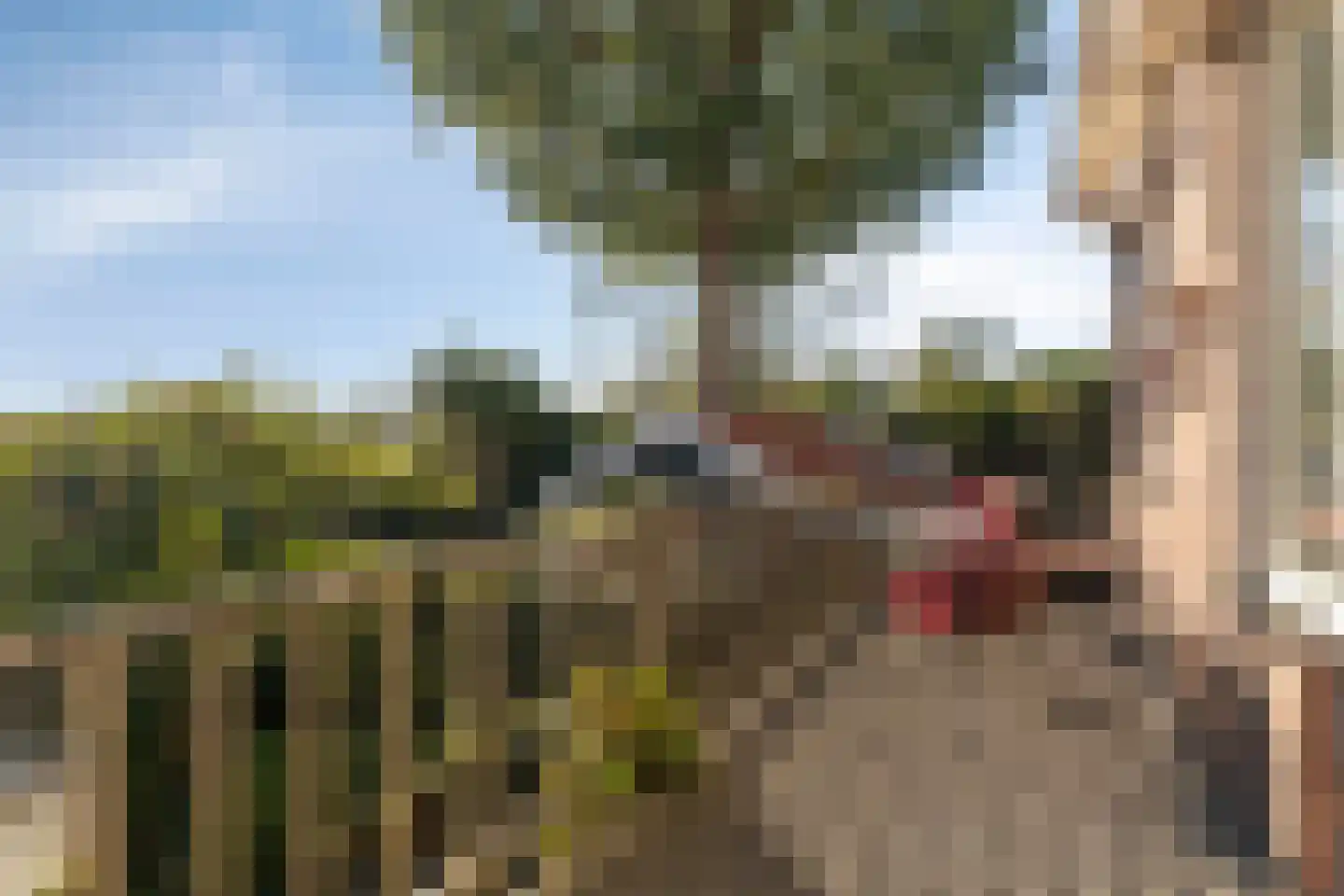 Albrandswaardsedijk 4 Poortugaal thumbnail 23
