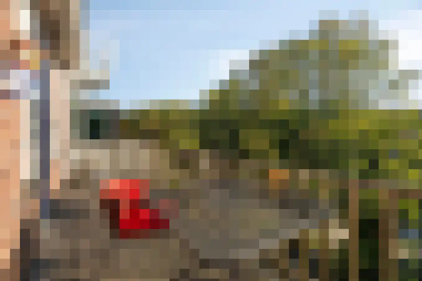 Albrandswaardsedijk 4 Poortugaal thumbnail 6