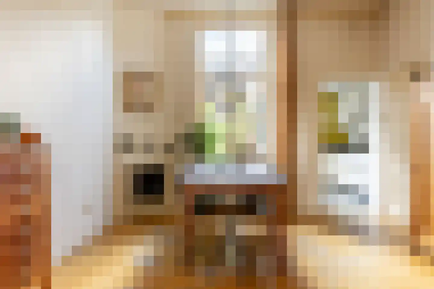 Albrecht Beijlinggracht 20 Schoonhoven thumbnail 10