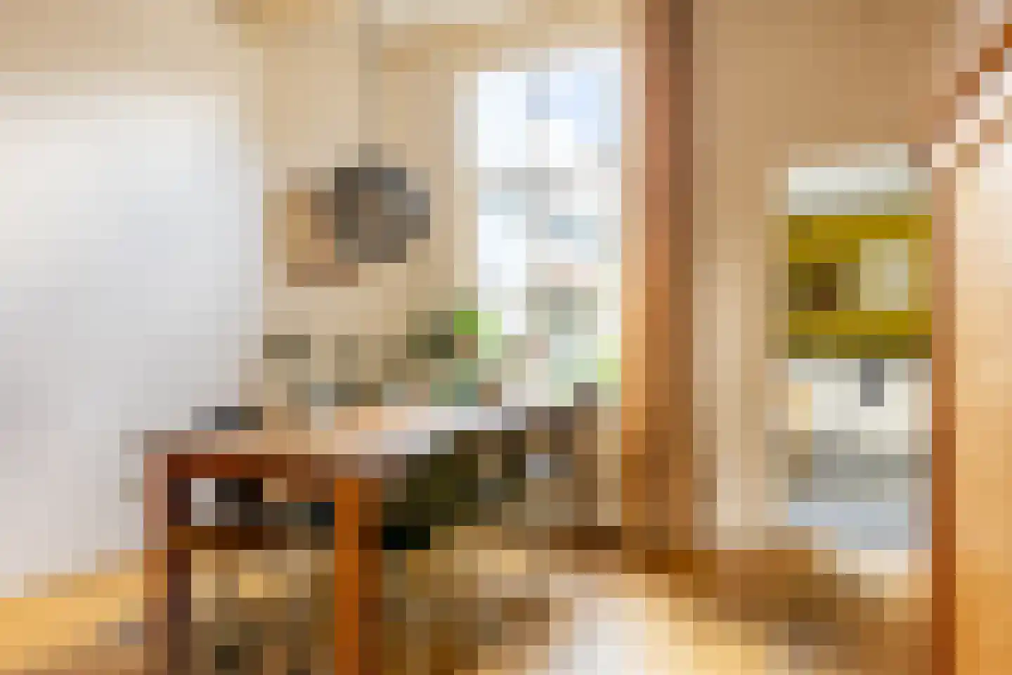 Albrecht Beijlinggracht 20 Schoonhoven thumbnail 12