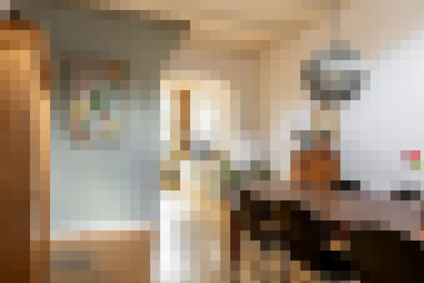 Albrecht Beijlinggracht 20 Schoonhoven thumbnail 14