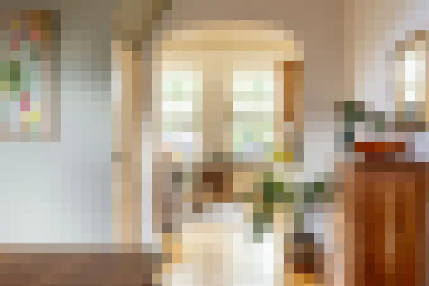 Albrecht Beijlinggracht 20 Schoonhoven thumbnail 17