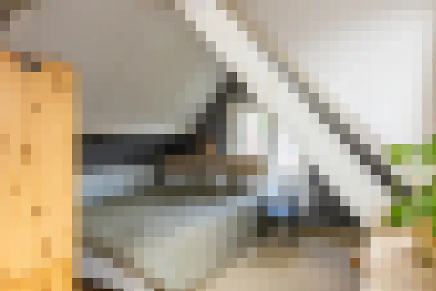 Albrecht Beijlinggracht 20 Schoonhoven thumbnail 39