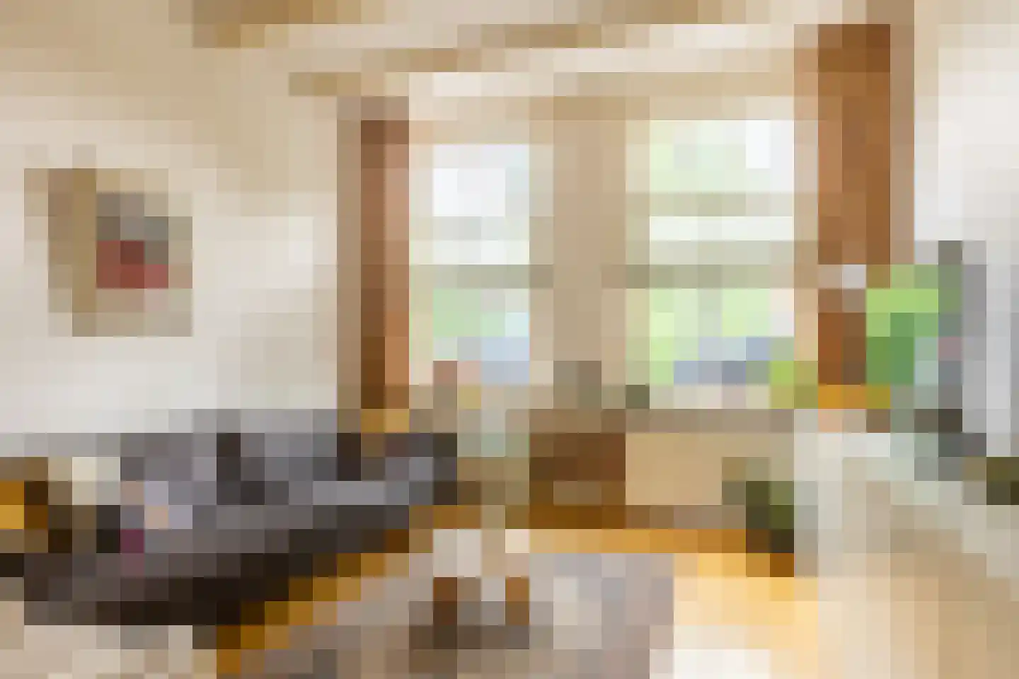 Albrecht Beijlinggracht 20 Schoonhoven thumbnail 4