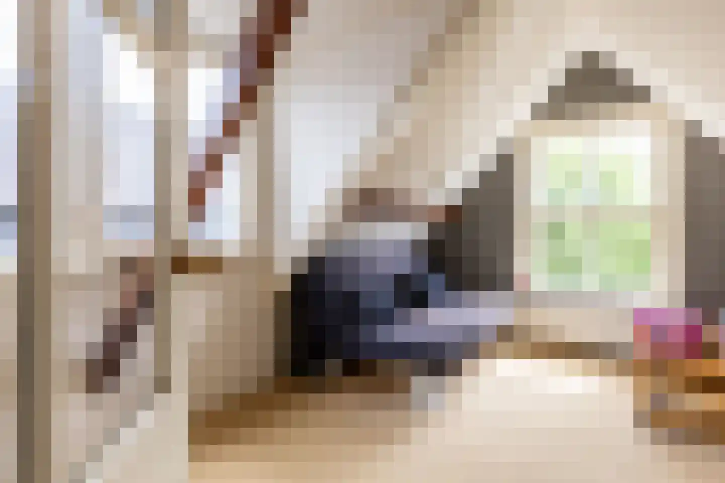Albrecht Beijlinggracht 20 Schoonhoven thumbnail 41