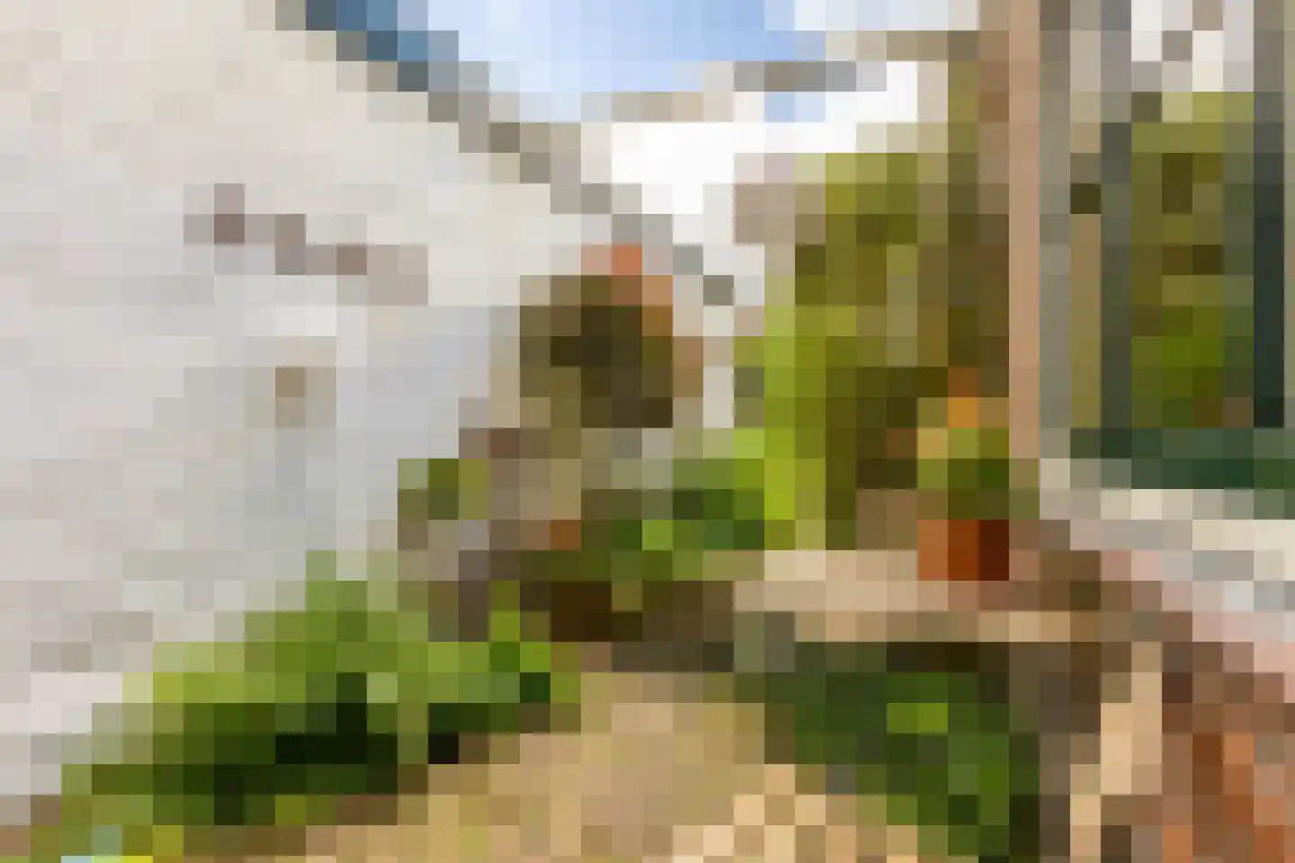 Albrecht Beijlinggracht 20 Schoonhoven thumbnail 44