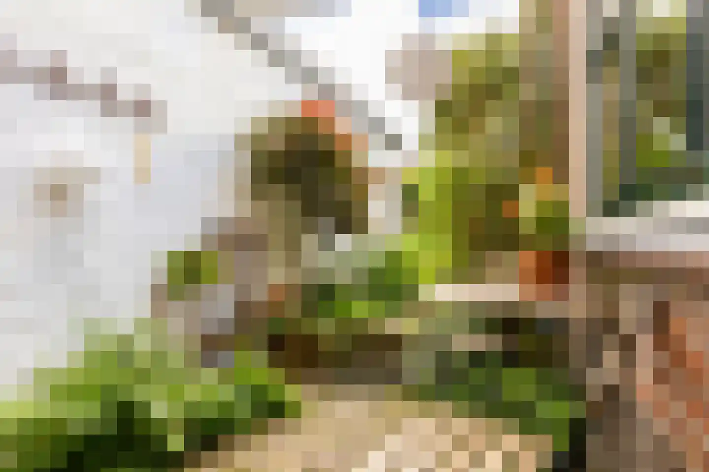 Albrecht Beijlinggracht 20 Schoonhoven thumbnail 45
