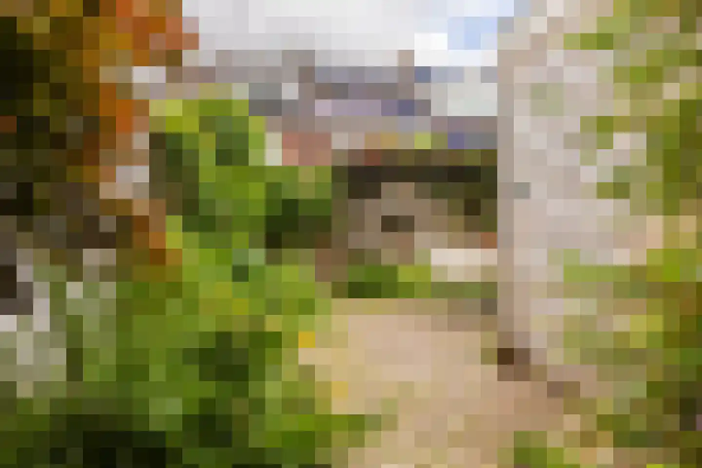 Albrecht Beijlinggracht 20 Schoonhoven thumbnail 46