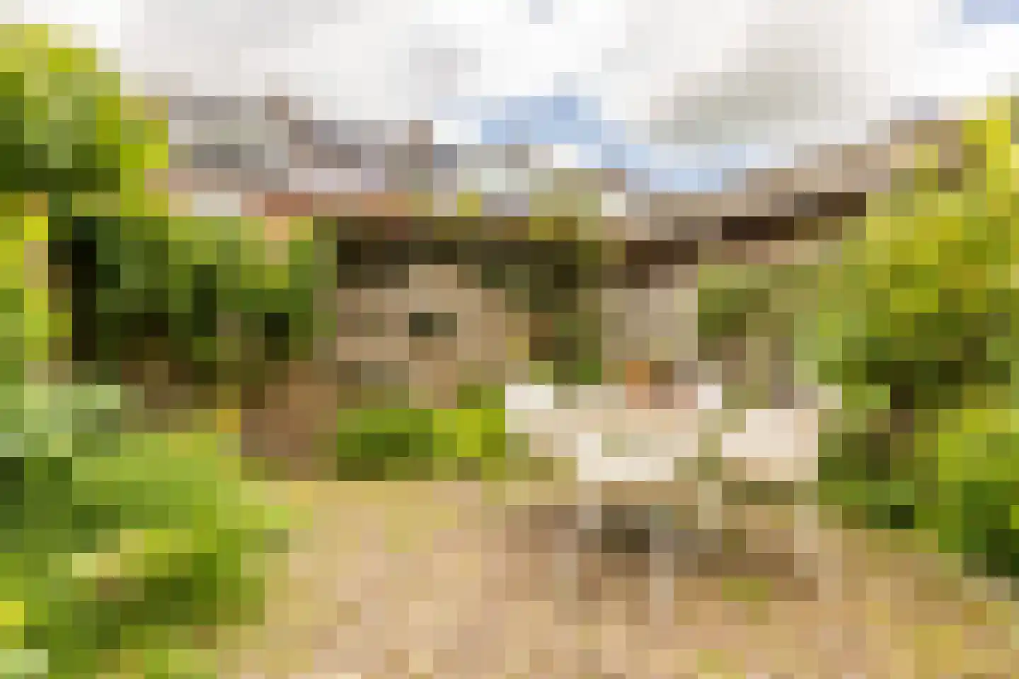 Albrecht Beijlinggracht 20 Schoonhoven thumbnail 47