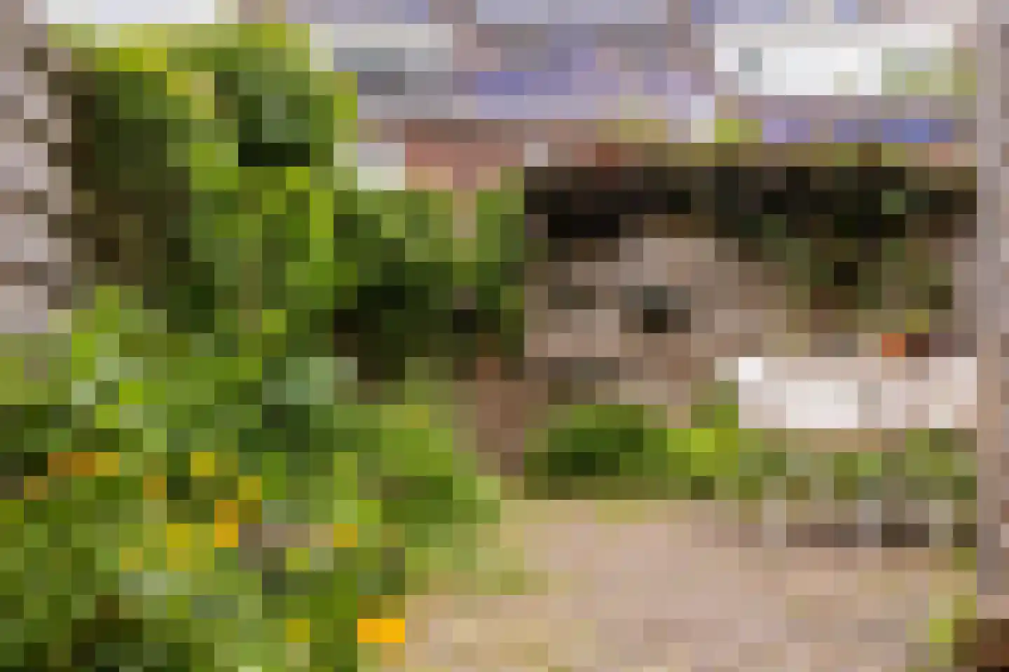 Albrecht Beijlinggracht 20 Schoonhoven thumbnail 48