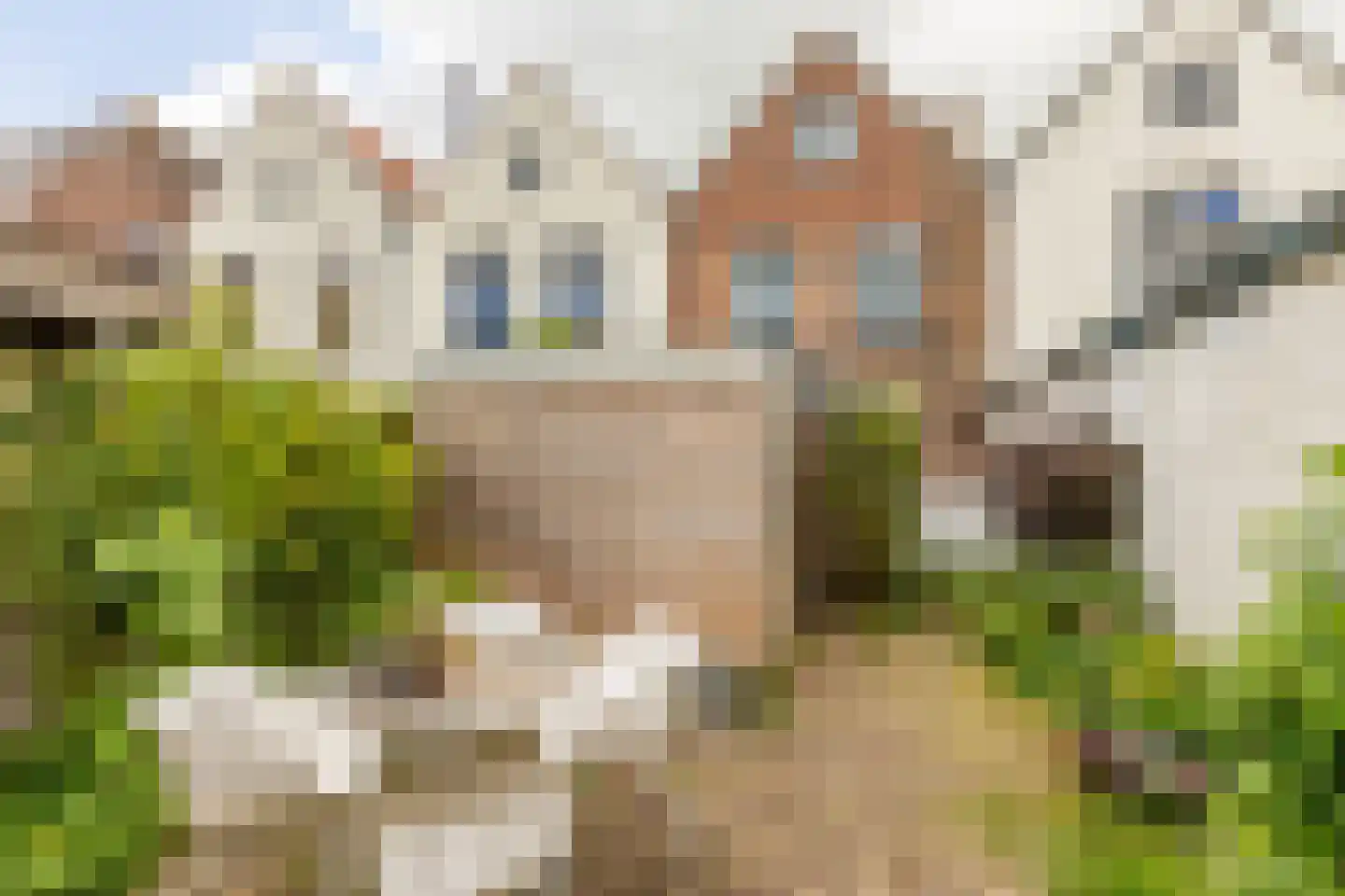 Albrecht Beijlinggracht 20 Schoonhoven thumbnail 50