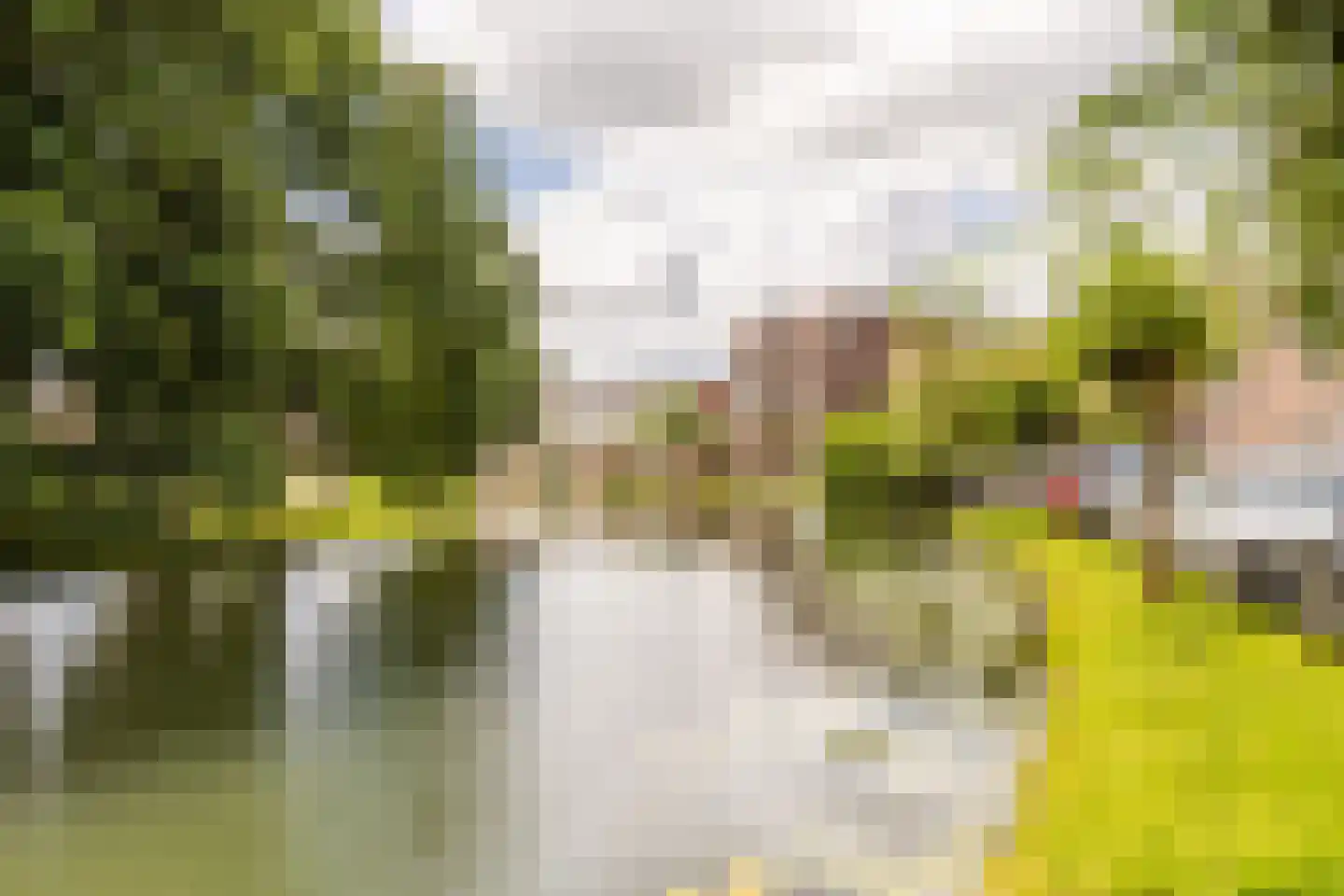Albrecht Beijlinggracht 20 Schoonhoven thumbnail 58