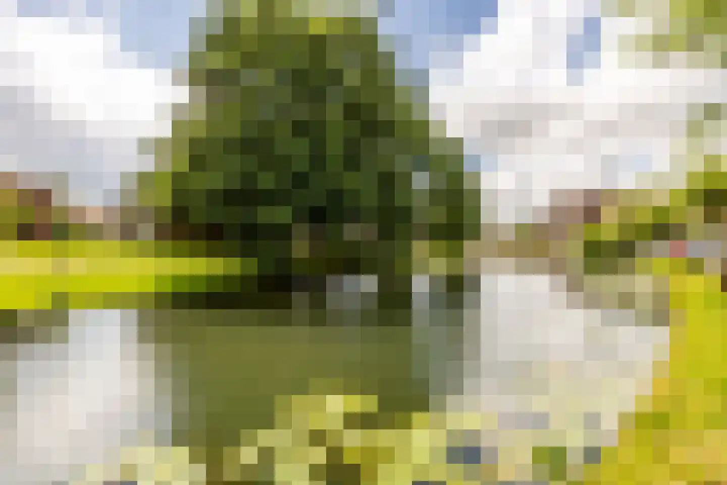 Albrecht Beijlinggracht 20 Schoonhoven thumbnail 59