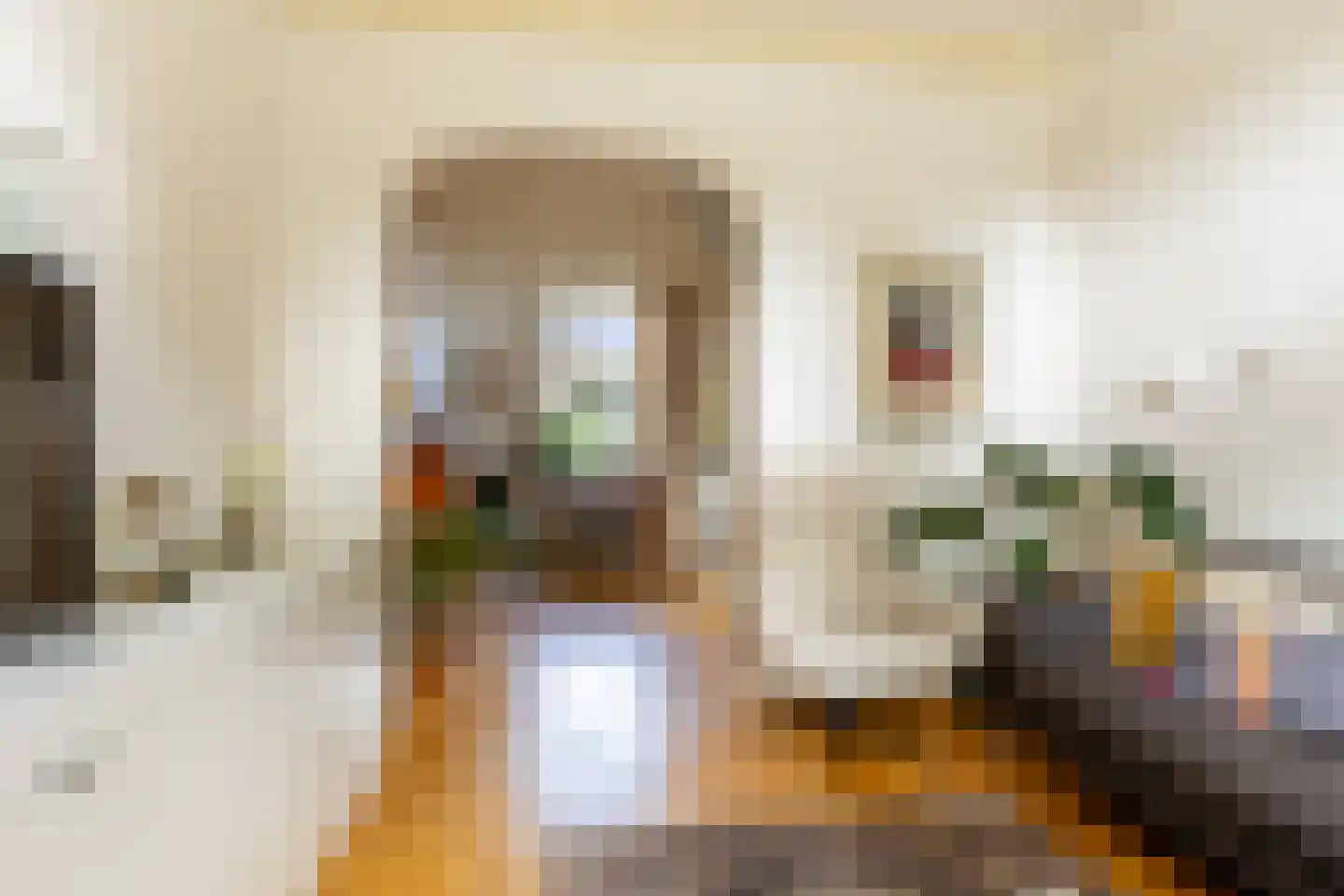 Albrecht Beijlinggracht 20 Schoonhoven thumbnail 6