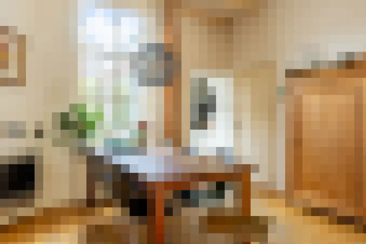 Albrecht Beijlinggracht 20 Schoonhoven thumbnail 9