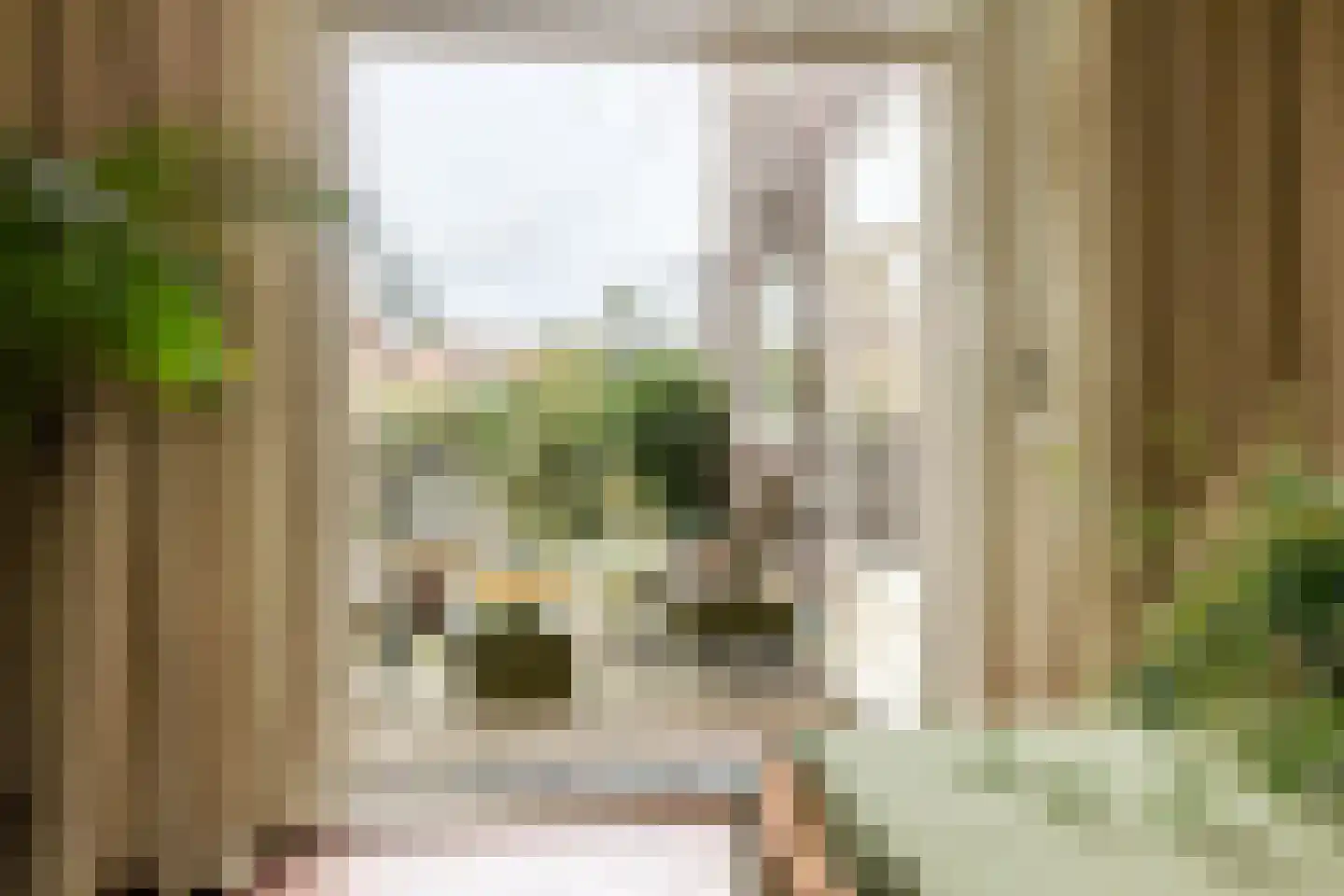 Albrecht Beijlinggracht 28 Schoonhoven thumbnail 14