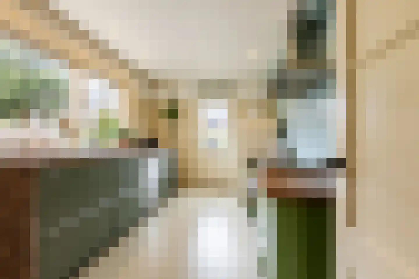 Albrecht Beijlinggracht 28 Schoonhoven thumbnail 19