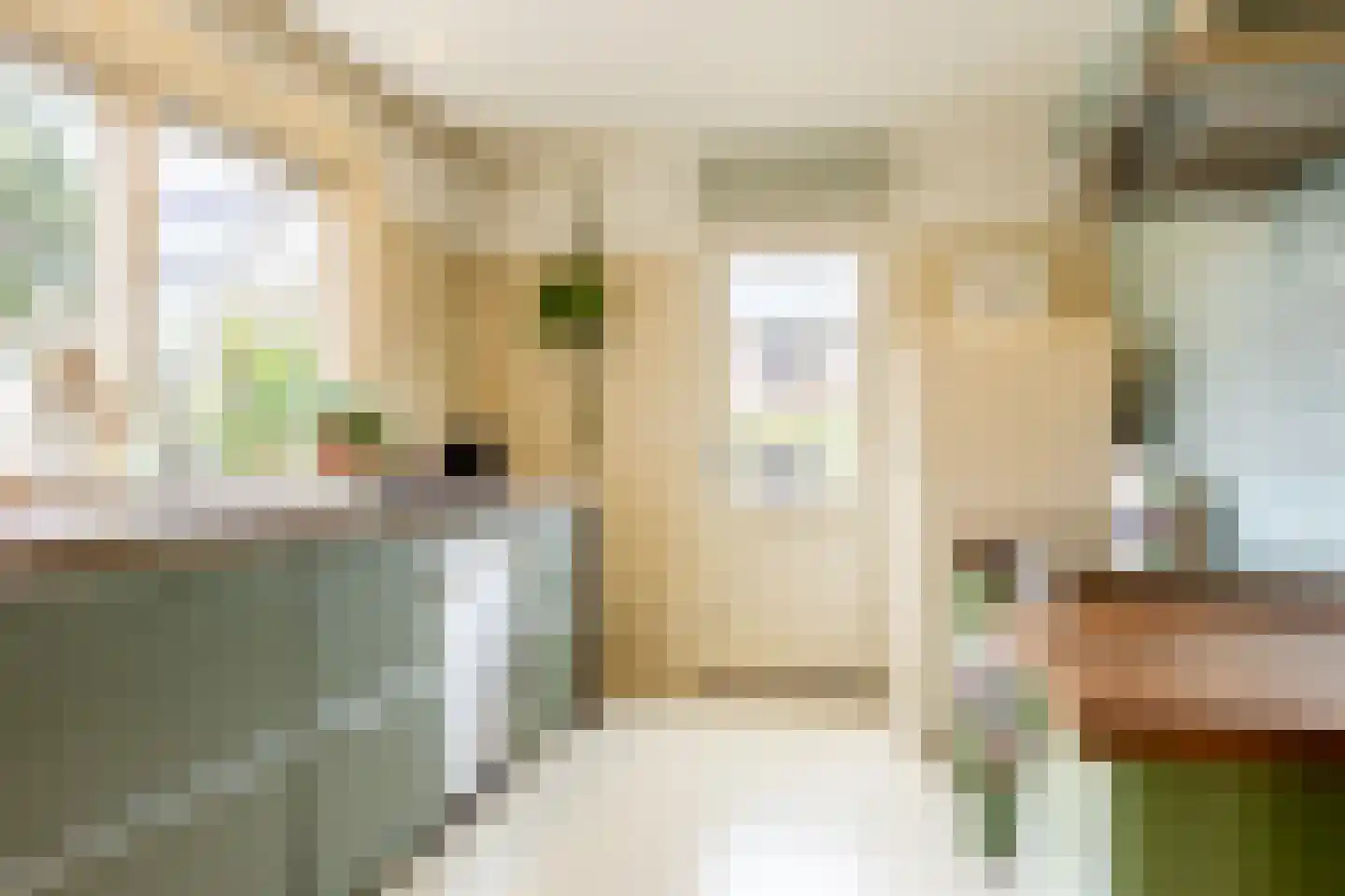 Albrecht Beijlinggracht 28 Schoonhoven thumbnail 20