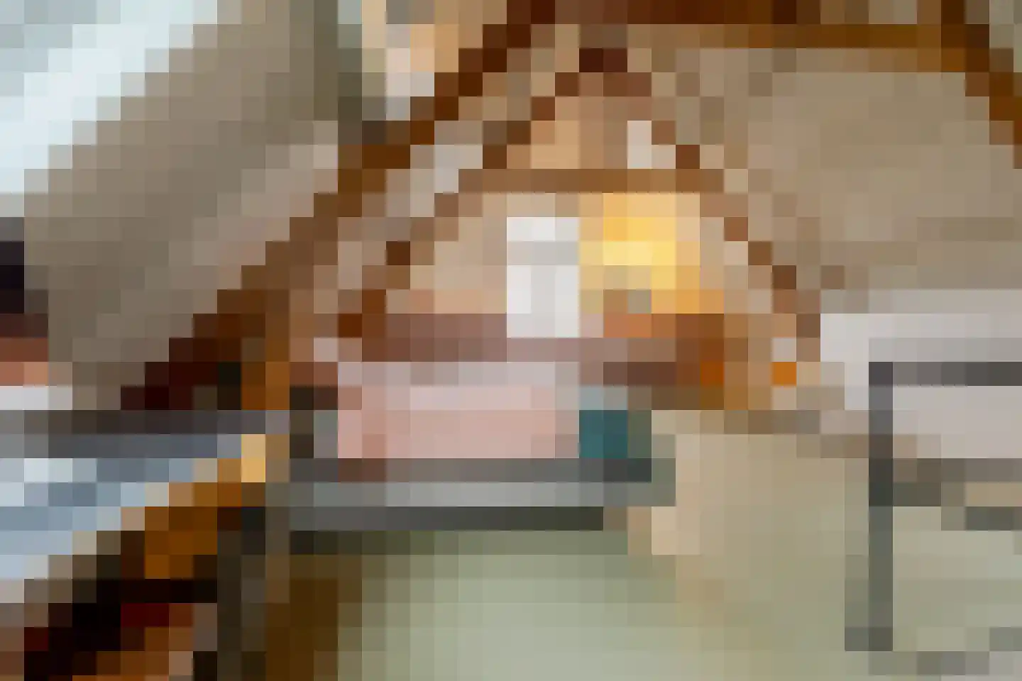 Albrecht Beijlinggracht 28 Schoonhoven thumbnail 44