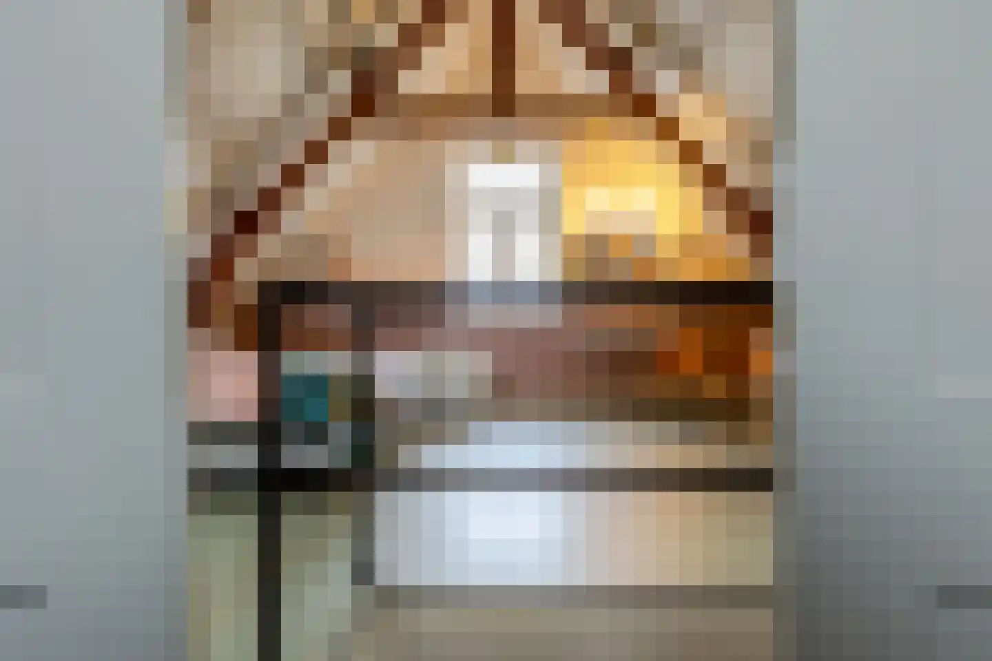 Albrecht Beijlinggracht 28 Schoonhoven thumbnail 53
