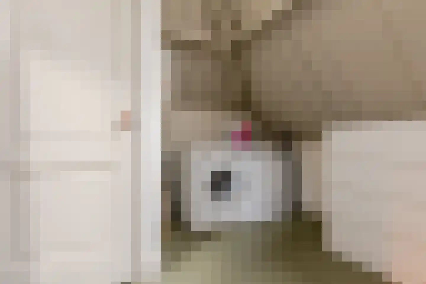Albrecht Beijlinggracht 28 Schoonhoven thumbnail 54