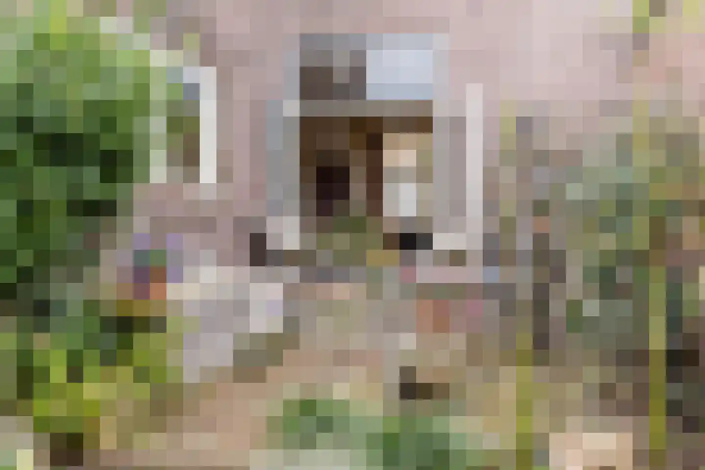 Albrecht Beijlinggracht 28 Schoonhoven thumbnail 57