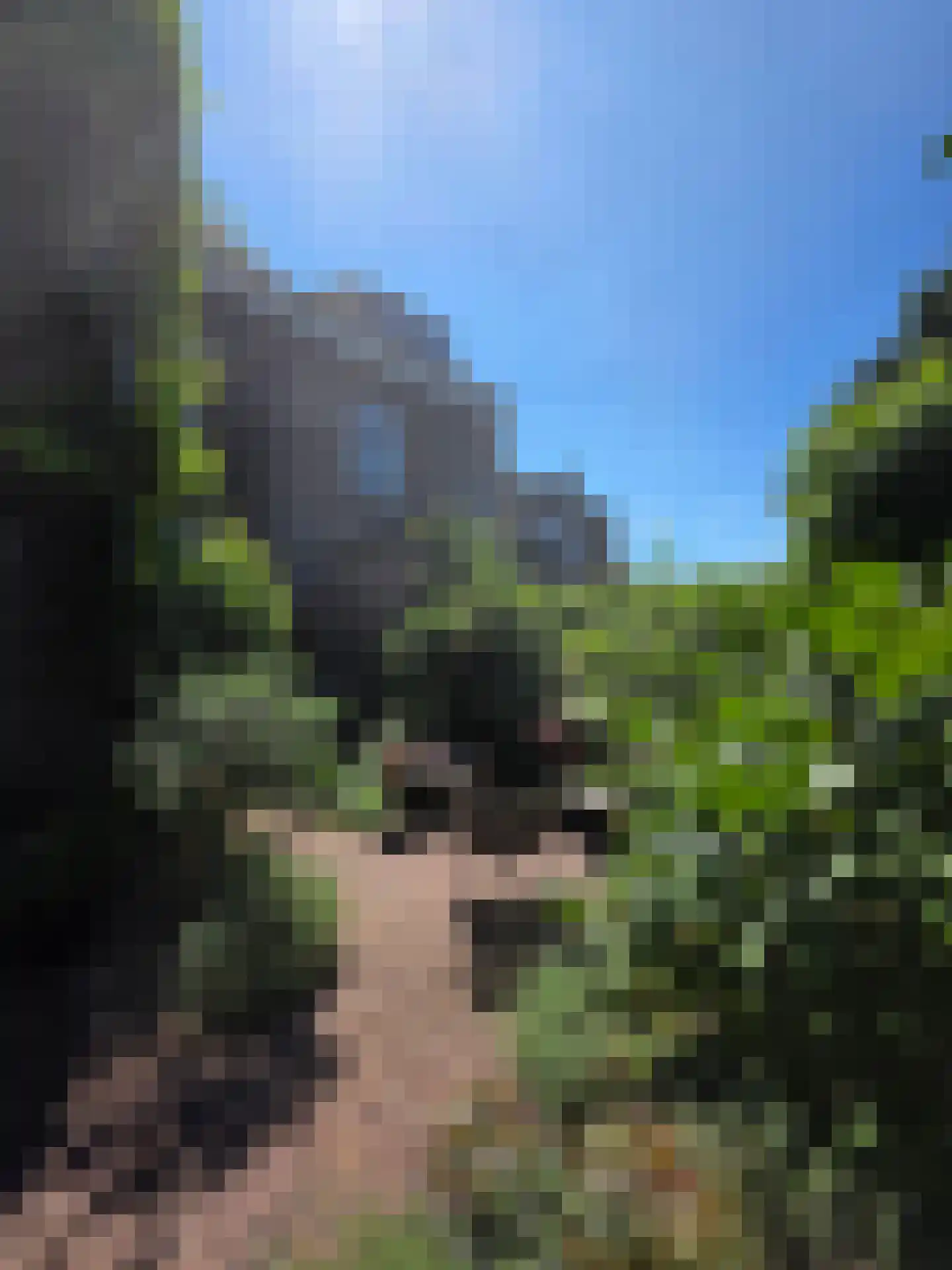 Albrecht Beijlinggracht 28 Schoonhoven thumbnail 64