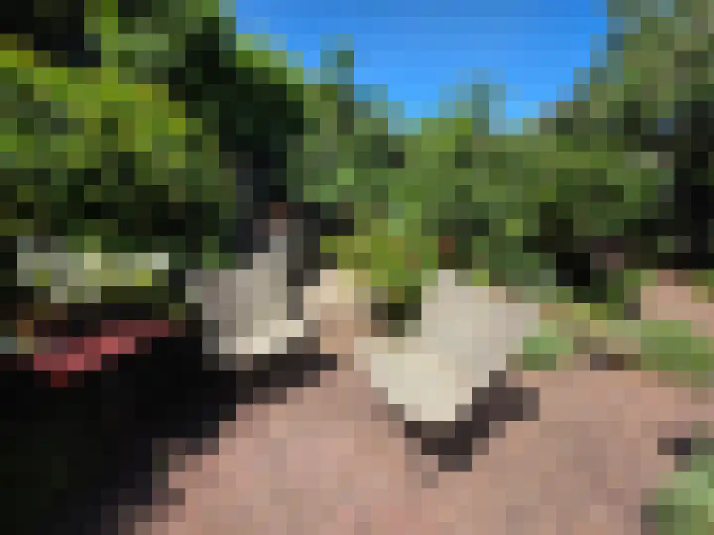Albrecht Beijlinggracht 28 Schoonhoven thumbnail 65