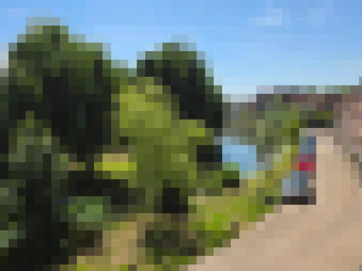 Albrecht Beijlinggracht 28 Schoonhoven thumbnail 72