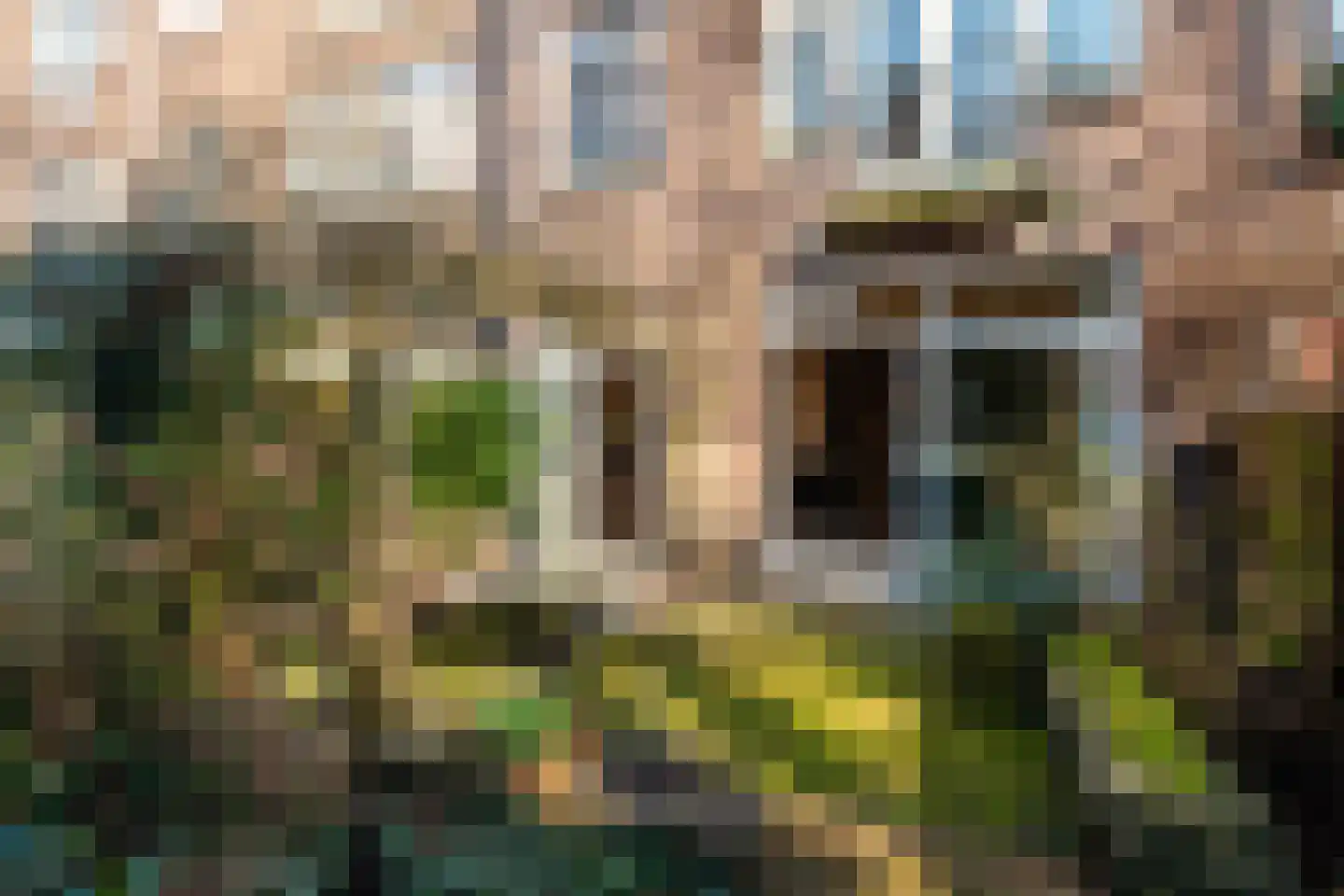 Albrecht Dürerstraat 8 Amsterdam thumbnail 9