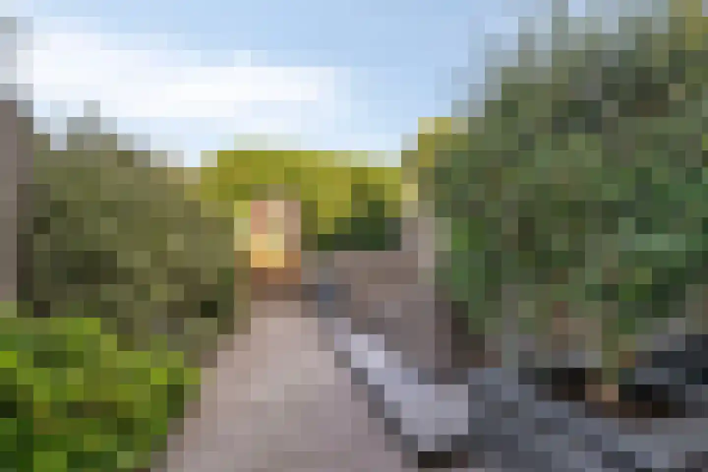 Albrecht Dürerweg 141 Almere thumbnail 31
