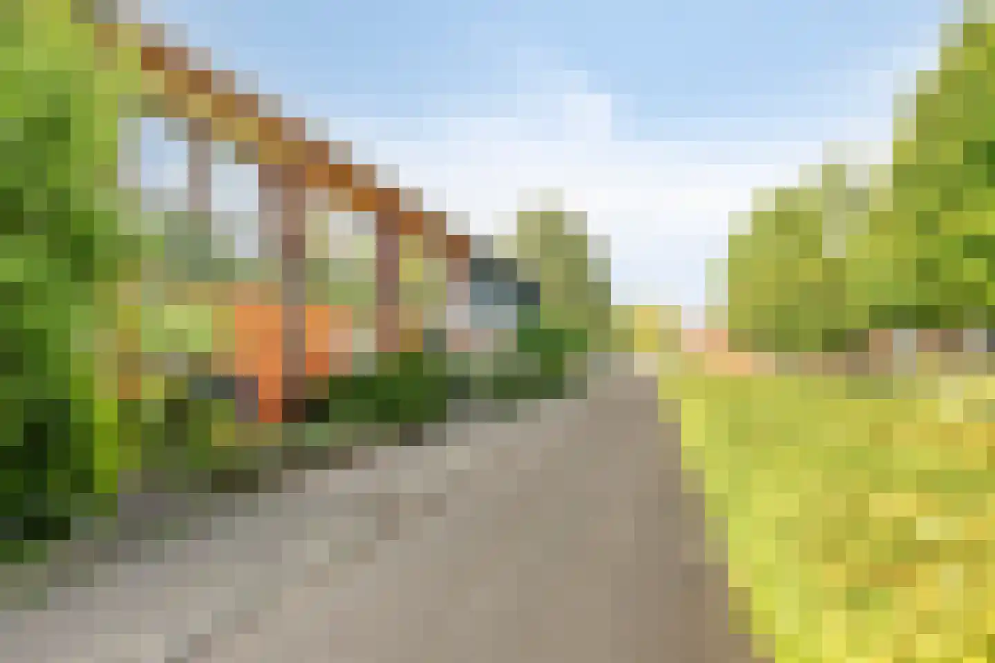 Albrecht Dürerweg 15 Almere thumbnail 5