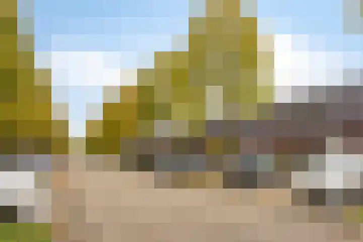 Albrecht Dürerweg 20 Almere thumbnail 34