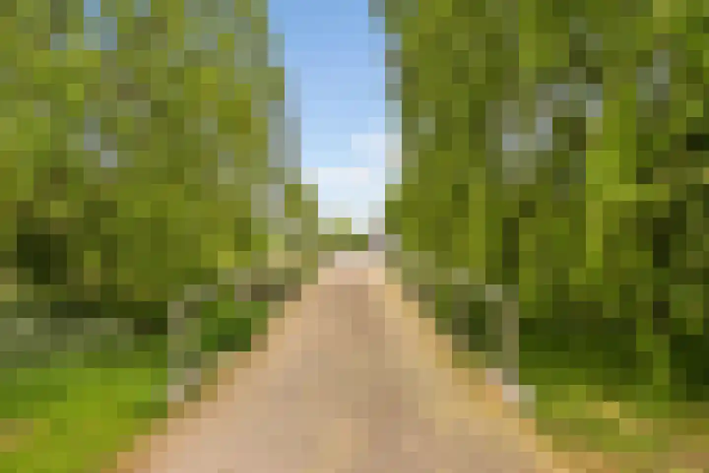 Albrecht Dürerweg 34 Almere thumbnail 56