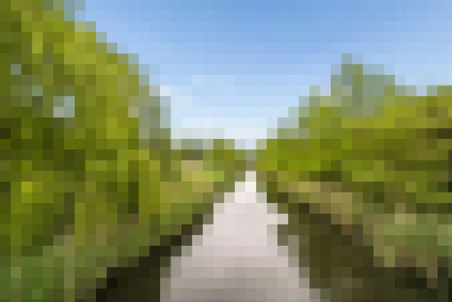 Albrecht Dürerweg 34 Almere thumbnail 57