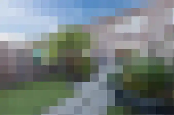 Albrecht Dürerweg 42 Almere thumbnail 36