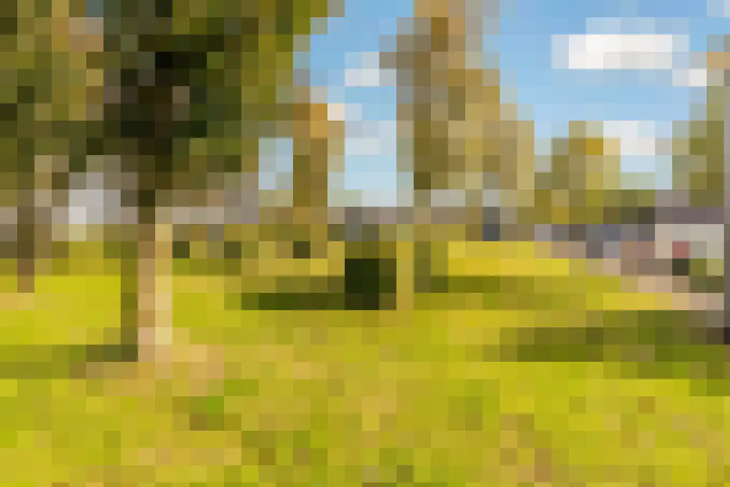 Albrecht Dürerweg 50 Almere thumbnail 53